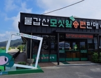 기사이미지