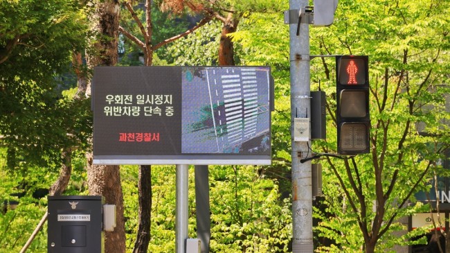 실시간 영상으로 보행자 알린다…'과천형 스마트 보행자안전시스템' 본격 가동